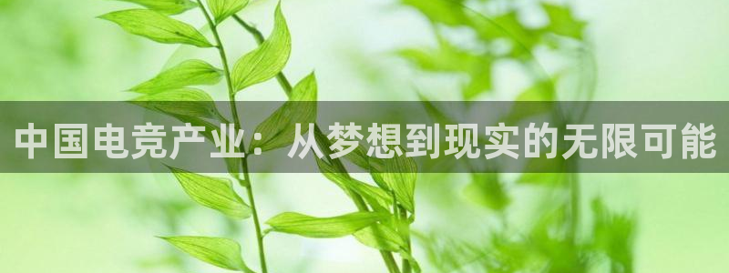 乐鱼电竞app下载：中国电竞产业：从梦想到现实的无限可能