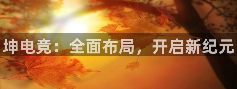 乐鱼电竞：坤电竞：全面布局，开启新纪元