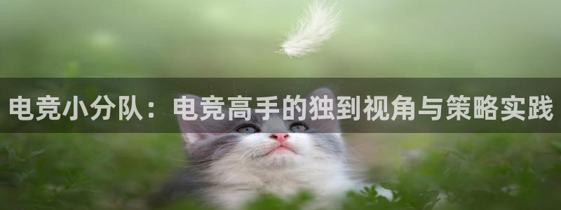 乐鱼电竞app下载：电竞小分队：电竞高手的独到视角与策略实践