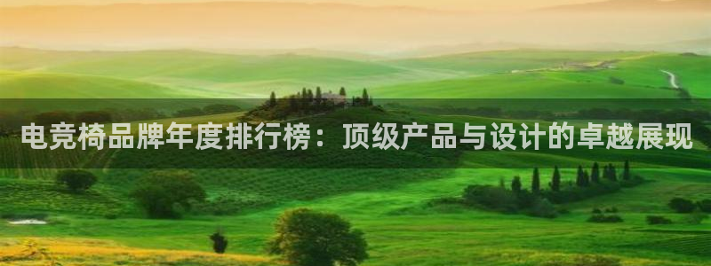 乐鱼电竞app：电竞椅品牌年度排行榜：顶级产品与设计的卓越展现