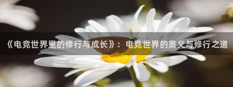 乐鱼电竞英雄联盟app官方：《电竞世界里的修行与成长》：电竞世界的奥义与修行之道