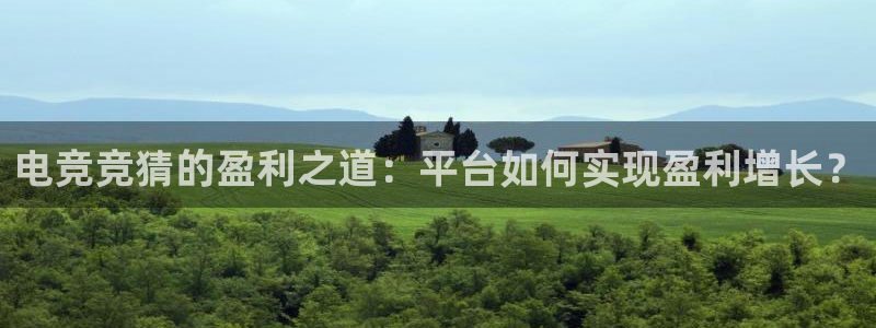 乐鱼电竞英雄联盟app官方：电竞竞猜的盈利之道：平台如何实现盈利增长？