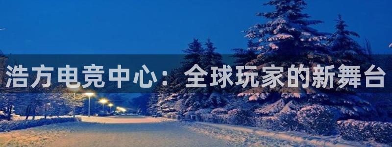 乐鱼电竞网站：浩方电竞中心：全球玩家的新舞台