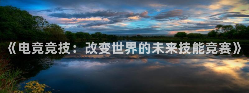 乐鱼电竞网站：《电竞竞技：改变世界的未来技能竞赛》