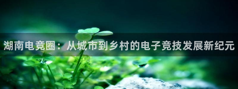 乐鱼电竞网站：湖南电竞圈：从城市到乡村的电子竞技发展新纪元