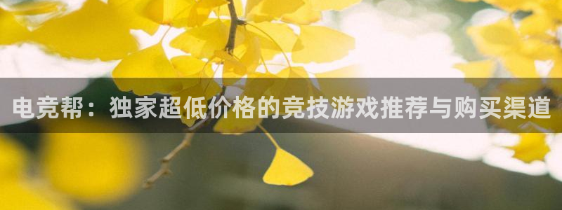 乐鱼电竞app：电竞帮：独家超低价格的竞技游戏推荐与购买渠道