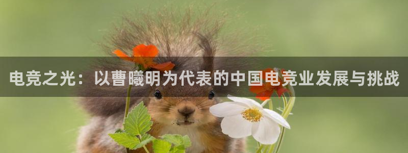 乐鱼电竞下载：电竞之光：以曹曦明为代表的中国电竞业发展与挑战