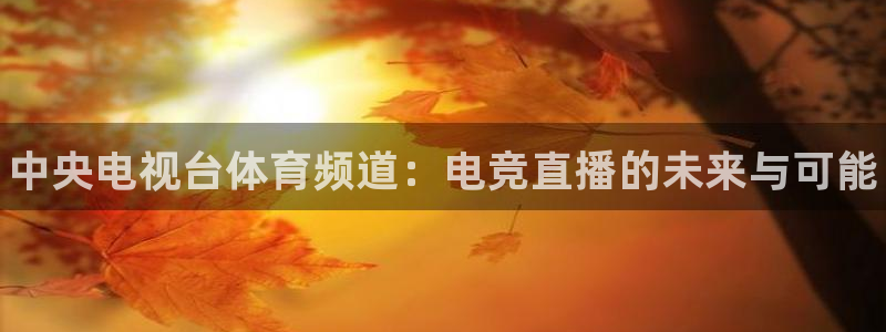 乐鱼电竞网站：中央电视台体育频道：电竞直播的未来与可能