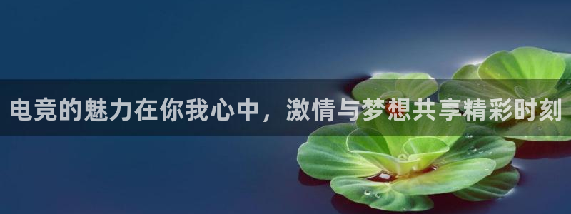 乐鱼电竞下载：电竞的魅力在你我心中，激情与梦想共享精彩时刻