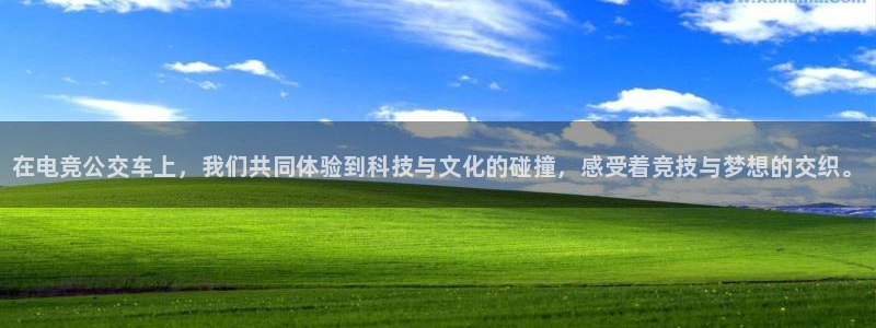 乐鱼电竞网站：在电竞公交车上，我们共同体验到科技与文化的碰撞，感受着竞技与梦想的交织。