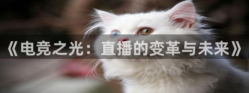 乐鱼电竞官网：《电竞之光：直播的变革与未来》
