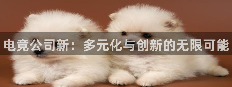 乐鱼电竞下载：电竞公司新：多元化与创新的无限可能