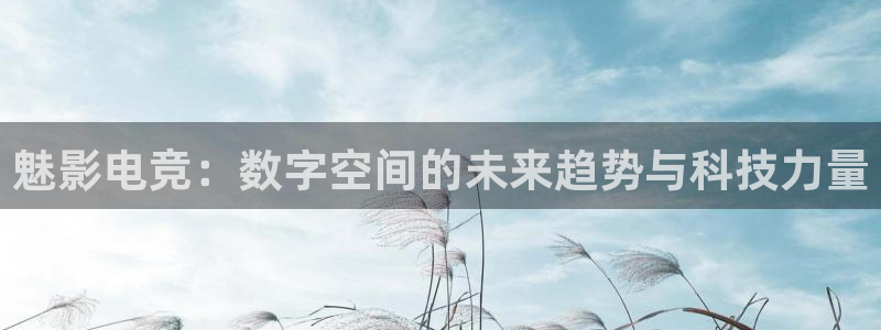 乐鱼电竞官网：魅影电竞：数字空间的未来趋势与科技力量