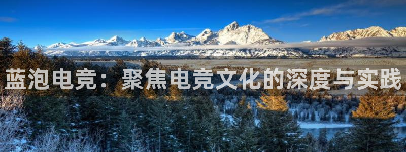 乐鱼电竞下载：蓝泡电竞：聚焦电竞文化的深度与实践