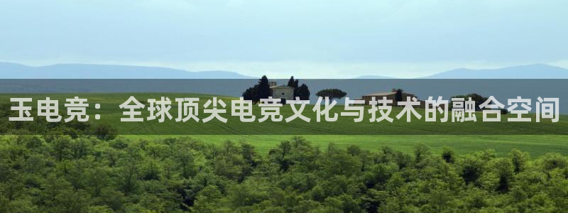 乐鱼电竞官网：玉电竞：全球顶尖电竞文化与技术的融合空间