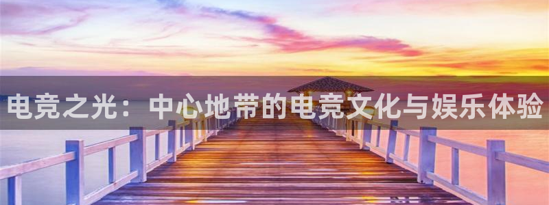 乐鱼电竞网站：电竞之光：中心地带的电竞文化与娱乐体验