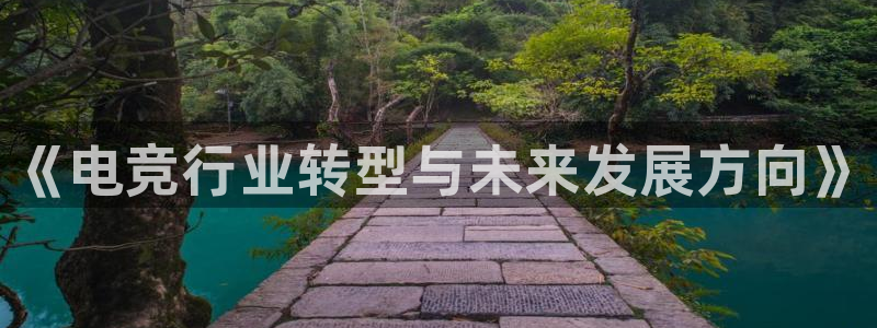乐鱼电竞官网：《电竞行业转型与未来发展方向》