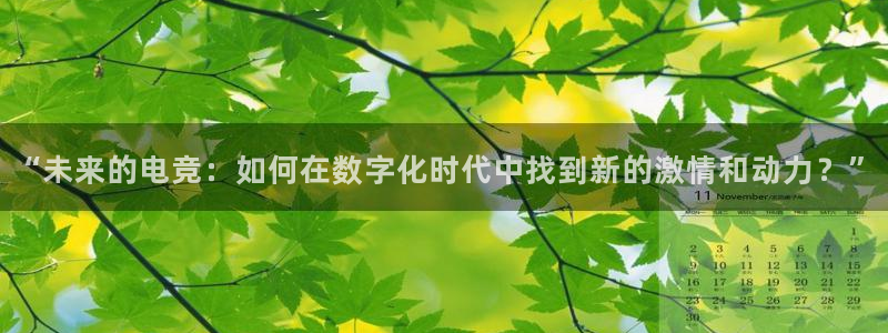乐鱼电竞网站：“未来的电竞：如何在数字化时代中找到新的激情和动力？”