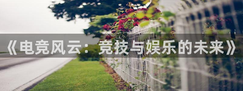 乐鱼电竞英雄联盟app官方：《电竞风云：竞技与娱乐的未来》