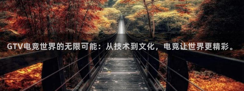 乐鱼电竞下载：GTV电竞世界的无限可能：从技术到文化，电竞让世界更精彩。