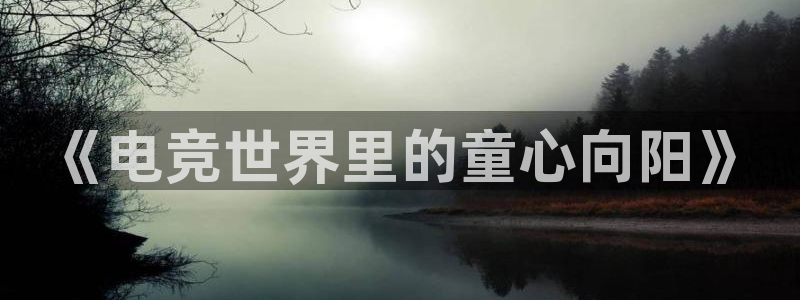 乐鱼电竞网站：《电竞世界里的童心向阳》