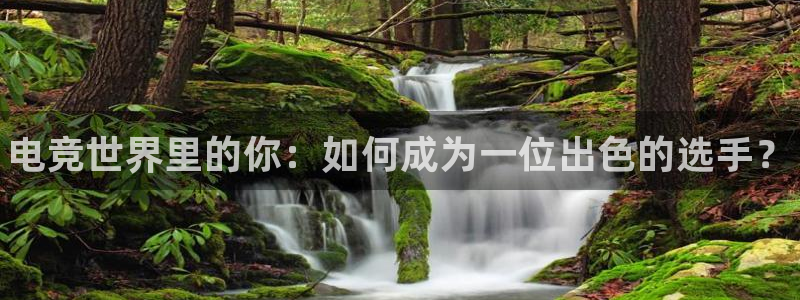 乐鱼电竞下载：电竞世界里的你：如何成为一位出色的选手？