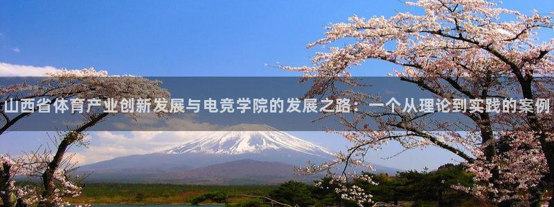 乐鱼电竞下载：山西省体育产业创新发展与电竞学院的发展之路：一个从理论到实践的案例