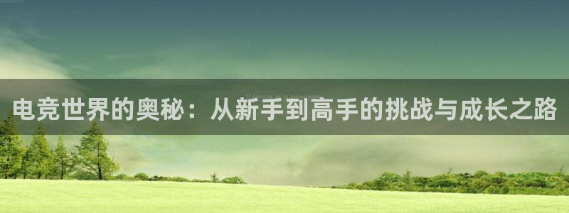 乐鱼电竞官网：电竞世界的奥秘：从新手到高手的挑战与成长之路