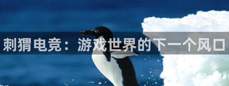 乐鱼电竞app下载：刺猬电竞：游戏世界的下一个风口