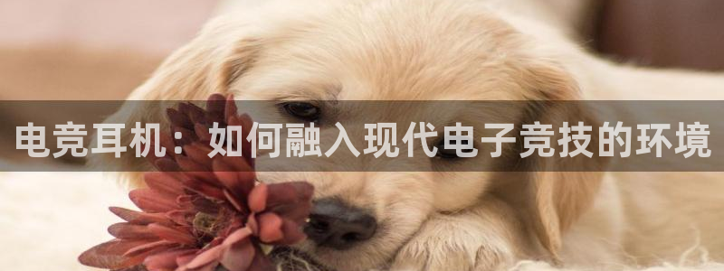 乐鱼电竞平台：电竞耳机：如何融入现代电子竞技的环境