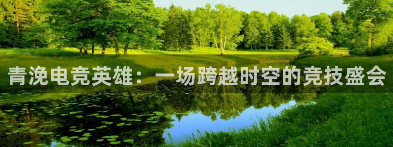 乐鱼电竞英雄联盟app官方：青浼电竞英雄：一场跨越时空的竞技盛会