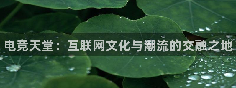 乐鱼电竞官网：电竞天堂：互联网文化与潮流的交融之地