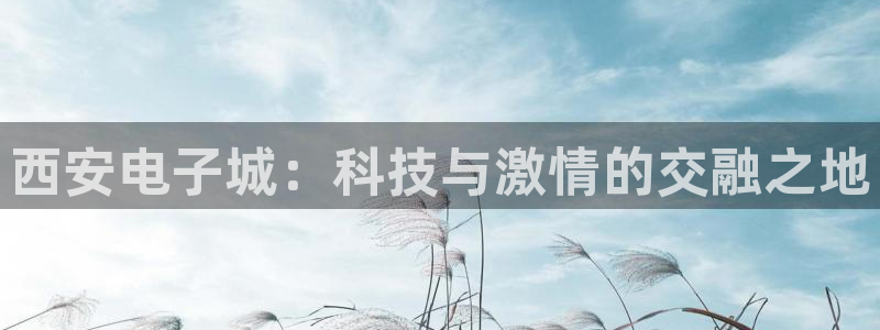 乐鱼电竞平台：西安电子城：科技与激情的交融之地