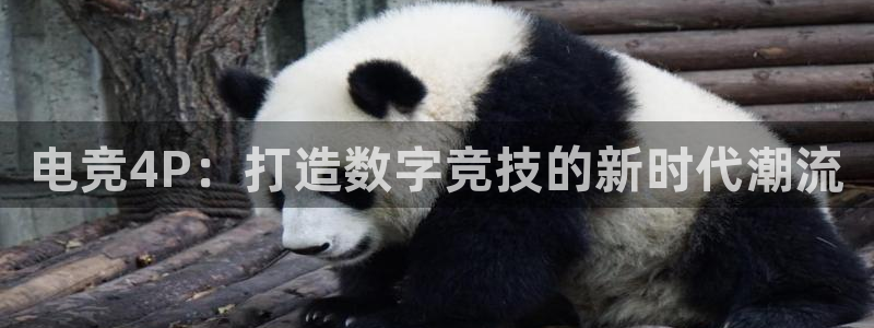 乐鱼电竞官网：电竞4P：打造数字竞技的新时代潮流